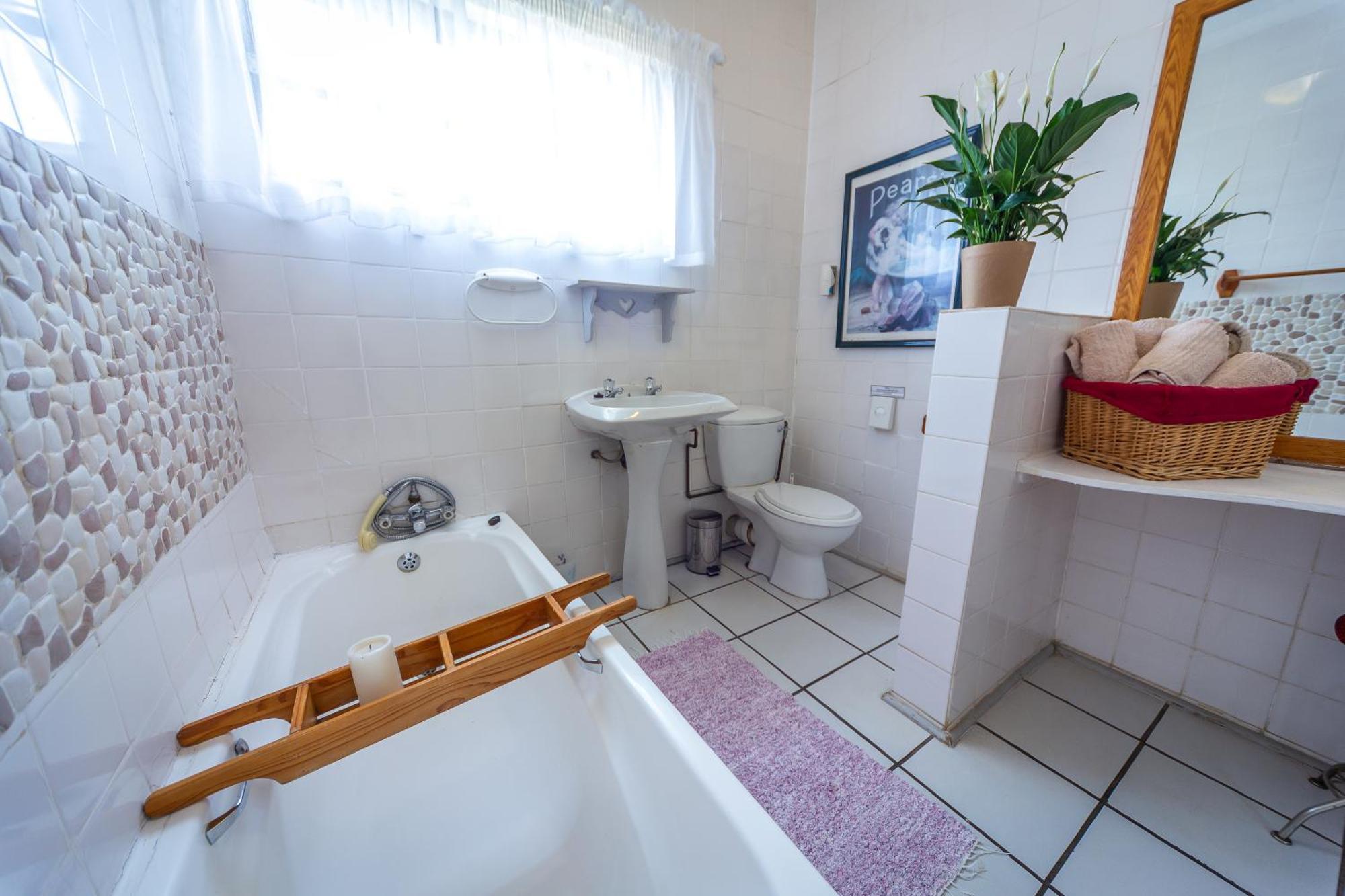 Graceland Self-Catering Cottages 윈터턴 외부 사진